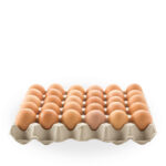 Köy Yumurtası 30'lu